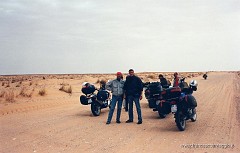 50.jpg  50